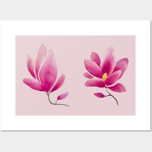 Two magnolia flowers Posters and Art